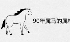 90年属马的属相婚配表