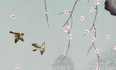 2022年11月5日是开业的好日子吗 老黄历查询