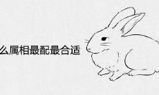 属兔的和什么属相最配最合适