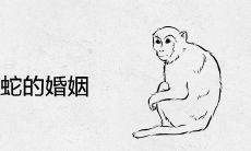 属猴和属蛇的婚姻