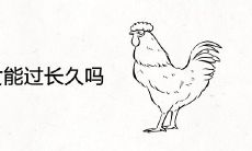 鸡男鼠女能过长久吗