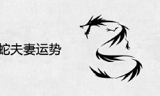 男龙女蛇夫妻运势