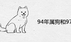 94年属狗和97年属牛