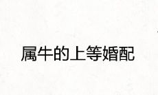 属牛的上等婚配