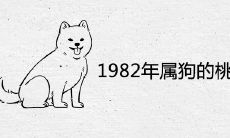 1982年属狗的桃花劫是谁