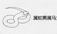 属蛇男属马女婚姻状况