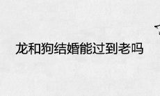 龙和狗结婚能过到老吗