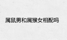 属鼠男和属猴女相配吗