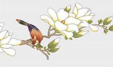 2022年7月23日大暑出行好不好 日子宜忌