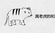 属老虎的和什么相配最好