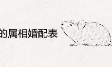 96年属鼠的属相婚配表