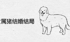 男属狗女属猪结婚结局