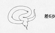 差6岁男蛇女猪婚配