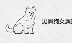 男属狗女属猴结婚好吗