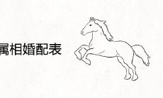 90属马的属相婚配表