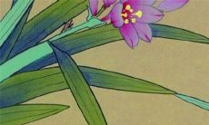 生肖属鸡2022水虎年10月开业黄道日子一览 黄道吉日分析