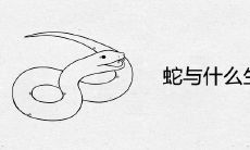 蛇与什么生肖最配