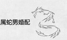 88年属龙女和属蛇男婚配