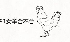 1993男鸡1991女羊合不合