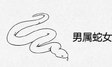 男属蛇女属龙的婚姻