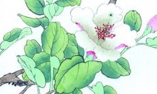 2022年7月13日可以开工动工吗 当天复工好不好