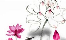 2022年7月24日开工好吗 是动工良机吗