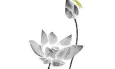 2022年7月29日开工好不好 是黄道吉日吗