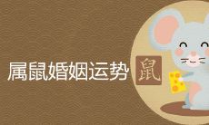 属鼠人离婚后会再婚吗 婚姻运势如何