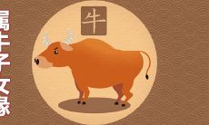 1985属牛有几个子女 子女缘如何