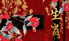 最具语言魅力的生肖女 与人打交道有优势