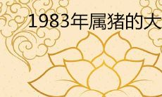 1983年属猪的大劫年份是哪几年