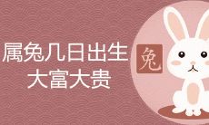 属兔几日出生大富大贵好运多福