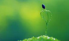 荣春歌姓名评分90分