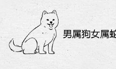 男属狗女属蛇婚姻相配吗