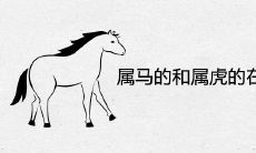 属马的和属虎的在一起会怎样