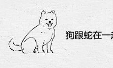 狗跟蛇在一起财运好吗