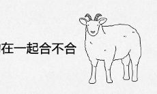 两个属羊的在一起合不合