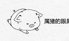 属猪的跟属猴的合不合