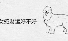 男狗女蛇财运好不好