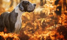 昌兴华姓名评分85分