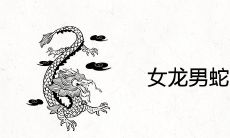 女龙男蛇的婚姻运势