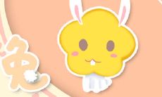 做事情非常有弹性空间的生肖