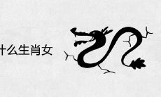 龙男会爱上什么生肖女
