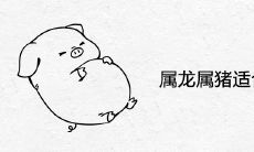 属龙属猪适合做夫妻吗