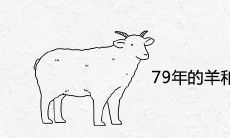 79年的羊和83年的猪合不合财