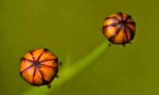 毛洁敏姓名评分79分