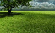 吉小菊姓名评分82分