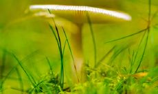 罗吴亮姓名评分95分