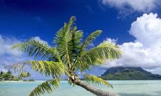 卜亚南姓名评分70分