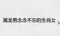 属龙男念念不忘的生肖女